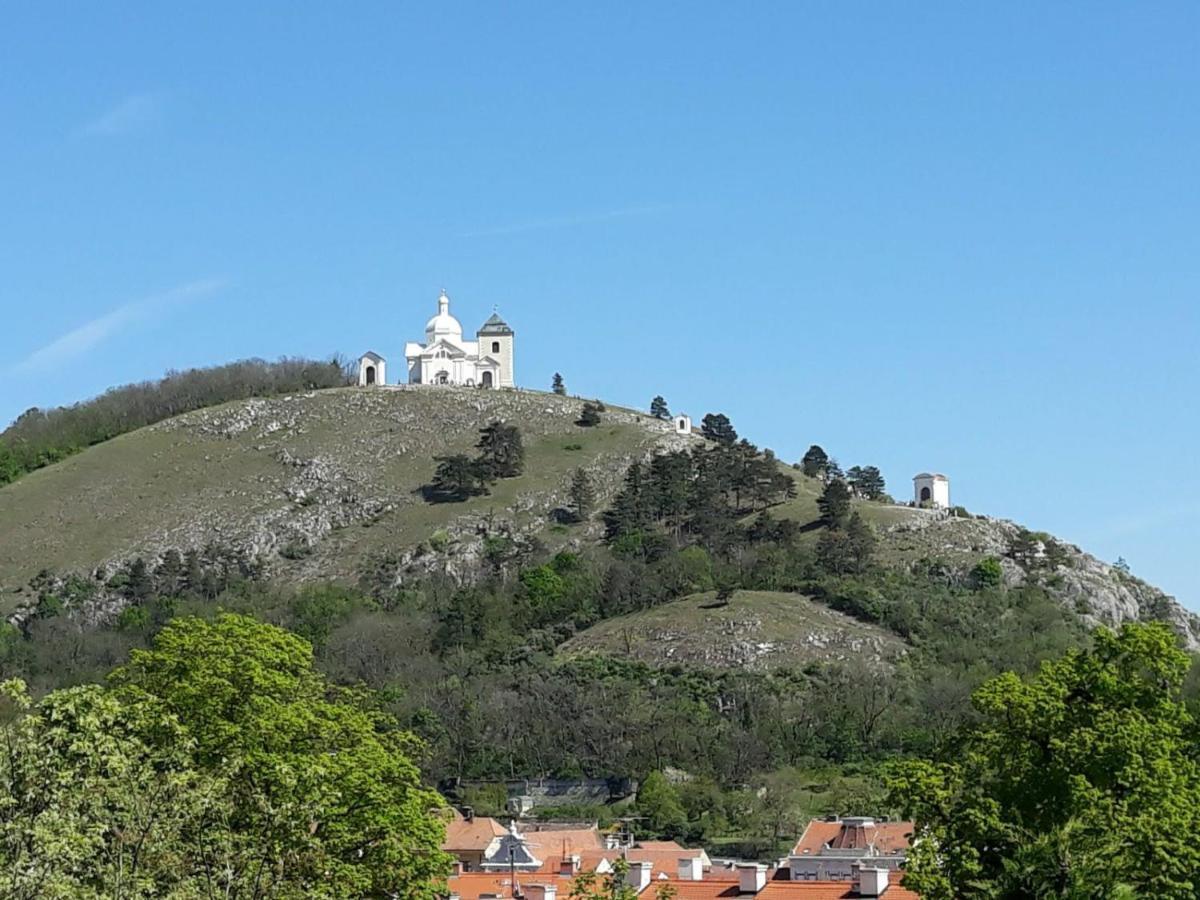 Ubytovani Na Spaciru Mikulov Dış mekan fotoğraf